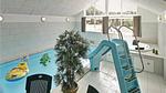 pool - Ferienhaus für 16 Personen (265 m²) in Tranekær - Top-Hundeurlaub