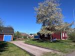 Zufahrt zum familienfreundlichen Ferienhaus in Småland - Hus Hagagatan - Top-Hundeurlaub