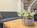 Ferienhaus Backbord im Bootshaus - Top-Hundeurlaub