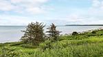 View - Ferienhaus für 5 Personen (40 m²) in Nykøbing Sjælland - Top-Hundeurlaub