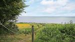 View - Ferienhaus für 5 Personen (40 m²) in Nykøbing Sjælland - Top-Hundeurlaub