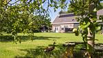 outside - Ferienhaus für 4 Personen (160 m²) in Ovezande - Top-Hundeurlaub