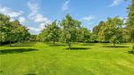 outside - Ferienhaus für 4 Personen (160 m²) in Ovezande - Top-Hundeurlaub