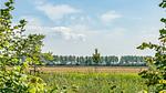 view-from-room - Ferienhaus für 4 Personen (160 m²) in Ovezande - Top-Hundeurlaub
