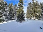 Landschaft - Belmont Seegarten - Top-Hundeurlaub