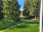 Belmont Seegarten - Top-Hundeurlaub