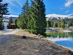 Landschaft - Belmont Seegarten - Top-Hundeurlaub