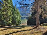 Landschaft - Lieptgas - Top-Hundeurlaub