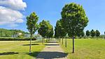 Landschaft - Ferienwohnung Muschel - Ostsee-Urlaub mit Hund - Top-Hundeurlaub