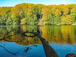 Landschaft - FeWo Ostseeglück im Jasmund-Paradies mit Terrasse und haustierfreundlich - Top-Hundeurlaub