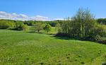 Sonnenherz - Top-Hundeurlaub