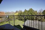 Balkon - Haus: Terrasse, Garten - Top-Hundeurlaub