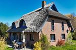 Terrasse - Haus: Terrasse, Garten, Sauna - Top-Hundeurlaub