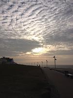 Strand - Ferienwohnung Majerts Dünengold - Top-Hundeurlaub