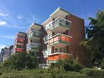 Ferienwohnung Seesternchen 2 - Top-Hundeurlaub
