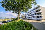 Ferienwohnung Heimathafen - Top-Hundeurlaub