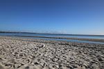 Ferienwohnung Windrose 14 - Top-Hundeurlaub