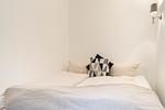 Ferienwohnung Seeblick - Top-Hundeurlaub