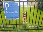 Ferienhaus "Ellie" - Top-Hundeurlaub