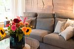 Ferienwohnung Gartenkoje - Top-Hundeurlaub