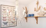 Ferienwohnung Schmetterlingsgarten - Top-Hundeurlaub