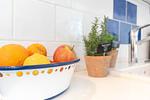 Ferienwohnung Schmetterlingsgarten - Top-Hundeurlaub