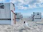 Ferienwohnung Ankerbucht - Top-Hundeurlaub