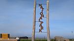 Friesenstern Dangast - Top-Hundeurlaub