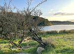 Winderatter See im Herbst (1km entfernt) - Ferienhaus Reethus Koppelkiek - Top-Hundeurlaub