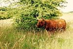 Landschaft - Landhaus Markerup - Top-Hundeurlaub