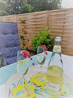Ferienhaus "Carl" - Top-Hundeurlaub