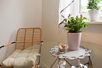 Ferienhaus HaffPerle - Top-Hundeurlaub