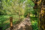 Hotel Bolter Mühle - DZ Roggenkammer - Top-Hundeurlaub