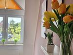 Ferienwohnung Sturmhaube - Top-Hundeurlaub