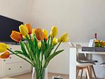 Ferienwohnung Achterdeck - Top-Hundeurlaub