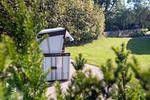 Garten - Ferienhaus Antje Hus Archsum auf Sylt - Top-Hundeurlaub