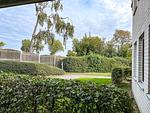 Blick von der Terrasse - Wohnung 39 - Top-Hundeurlaub