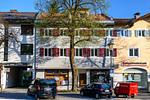 Steinwild - Top-Hundeurlaub