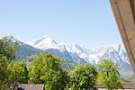 Berge - Alpenkrähe - Top-Hundeurlaub