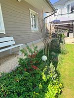 Ferienhaus Kobel - das kleine, hübsche Domizil an der Bergstraße am Fuße des Odenwaldes - Top-Hundeurlaub