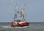 Strand - 0308 - Top-Hundeurlaub