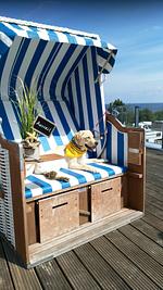 Ferienhaus Reederloft Family - Camping Walkyrien - Top-Hundeurlaub