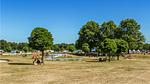 house - Ferienhaus für 6 Personen (90 m²) in Hoge Hexel - Top-Hundeurlaub
