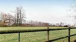 view-from-room - Ferienhaus für 9 Personen (120 m²) in Hattenville - Top-Hundeurlaub
