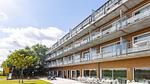 ExteriorSummer - Ferienwohnung für 3 Personen (17 m²) - Top-Hundeurlaub
