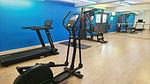 gym - Ferienwohnung für 3 Personen (30 m²) - Top-Hundeurlaub