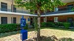 GardenSummer - Ferienwohnung für 3 Personen (30 m²) - Top-Hundeurlaub