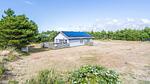 Outdoor - Ferienhaus für 5 Personen (67 m²) in Blåvand - Top-Hundeurlaub