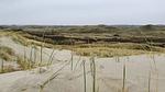 Untagged - Ferienhaus für 5 Personen (67 m²) in Blåvand - Top-Hundeurlaub