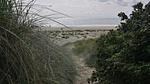 Untagged - Ferienhaus für 5 Personen (67 m²) in Blåvand - Top-Hundeurlaub